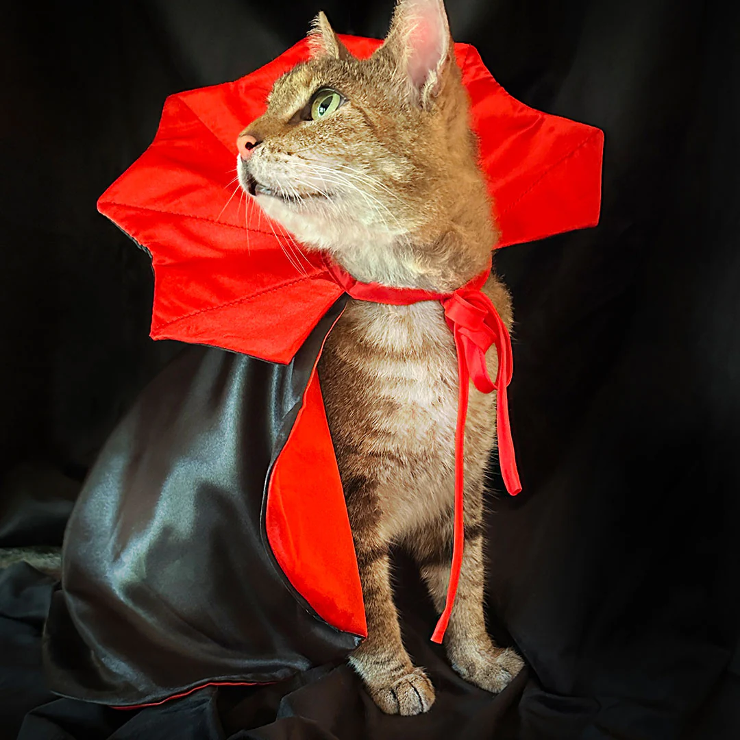 Pet Costumes, Hats + Photo Props